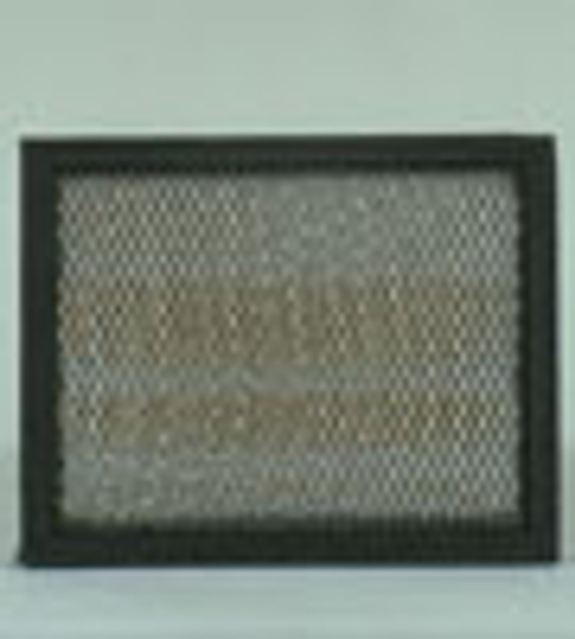 AF25227: Fleetguard Air Filter