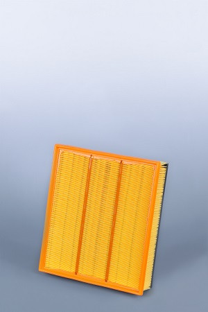 AF25319: Fleetguard Panel Air Filter