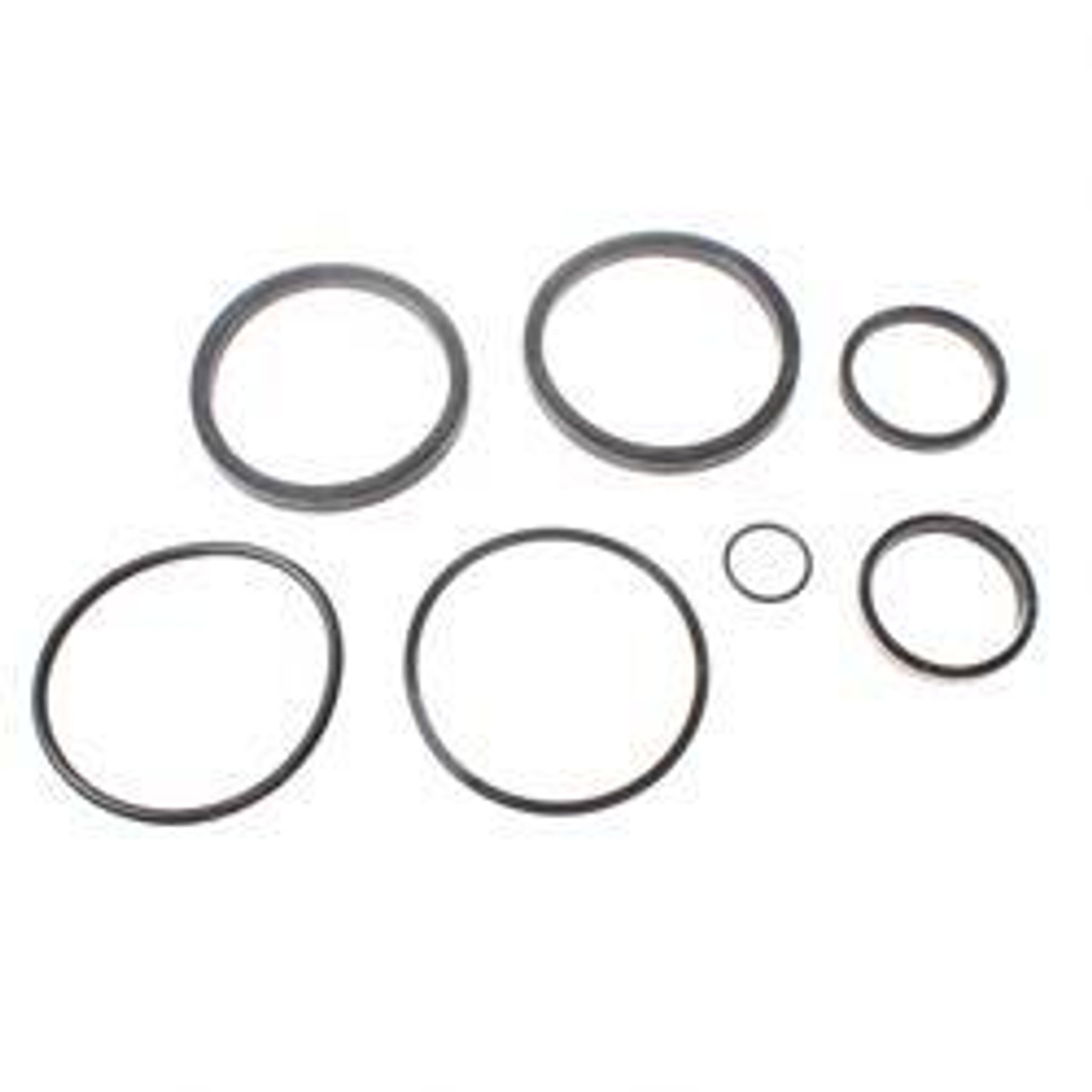 10719523: Aftermarket Sky Trak Seal Kit - Seals + Misc