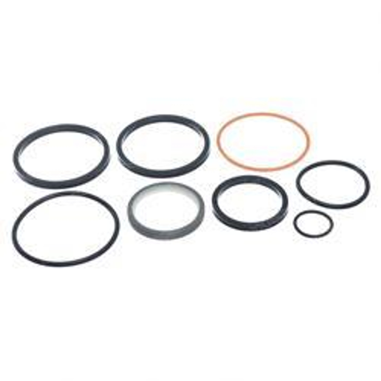 10719525: Aftermarket Gradall Seal Kit - Seals + Misc