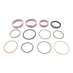 10730655: Aftermarket JLG Seal Kit