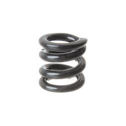 134707: Aftermarket Mustang Spring/compression