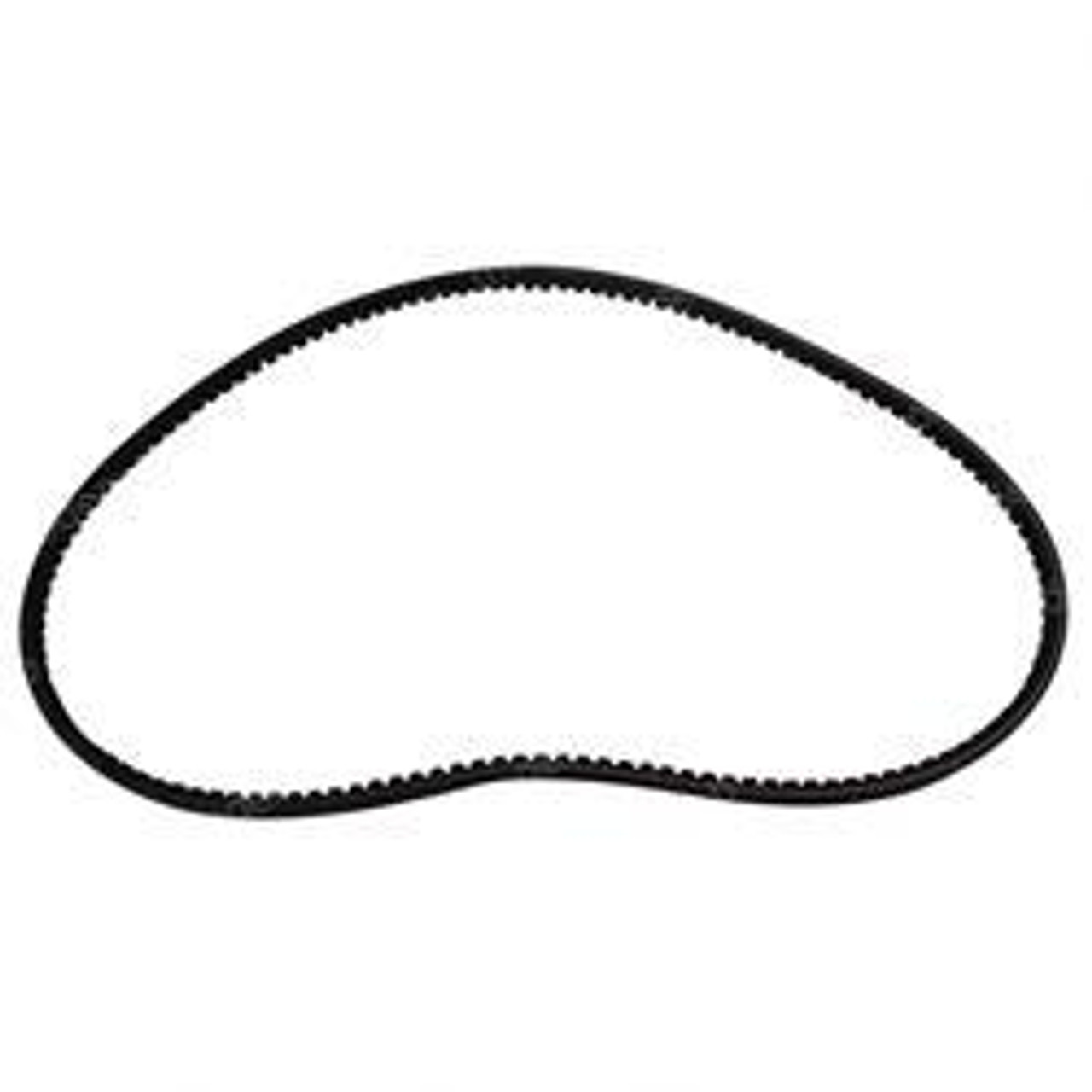 189583: Aftermarket Mustang Belt - V 189583: Aftermarket Mustang Belt - V