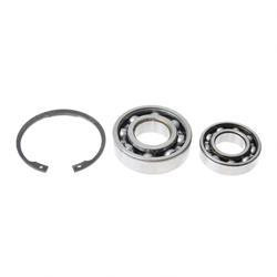 1461567: Aftermarket Hyster Bearing Kit