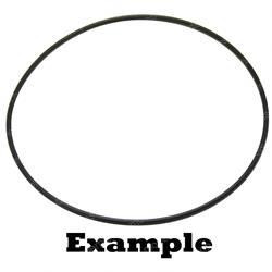 39363: Aftermarket Hyster O-ring