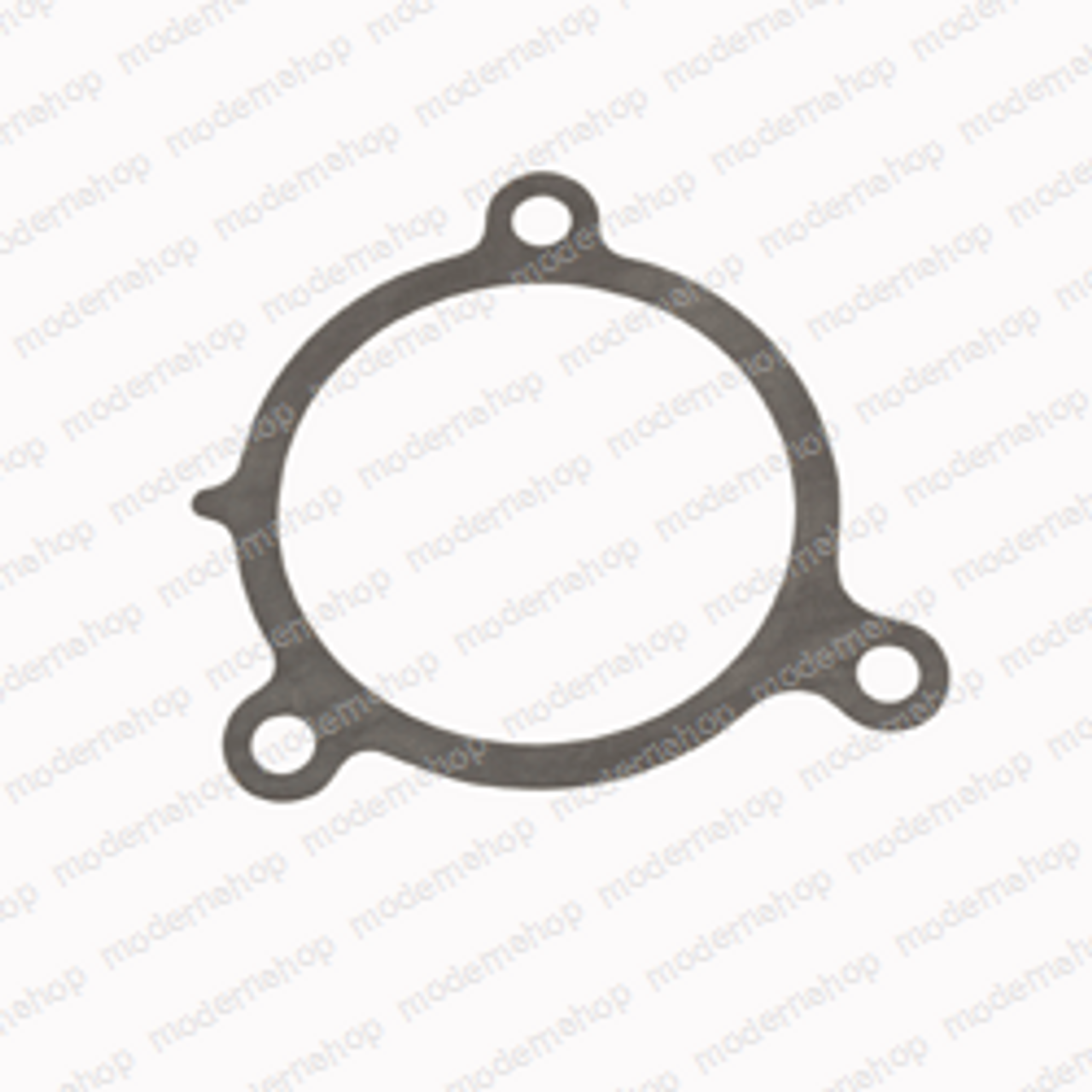 155-5106: Lpm Forklift GASKET - WATER OUTLET