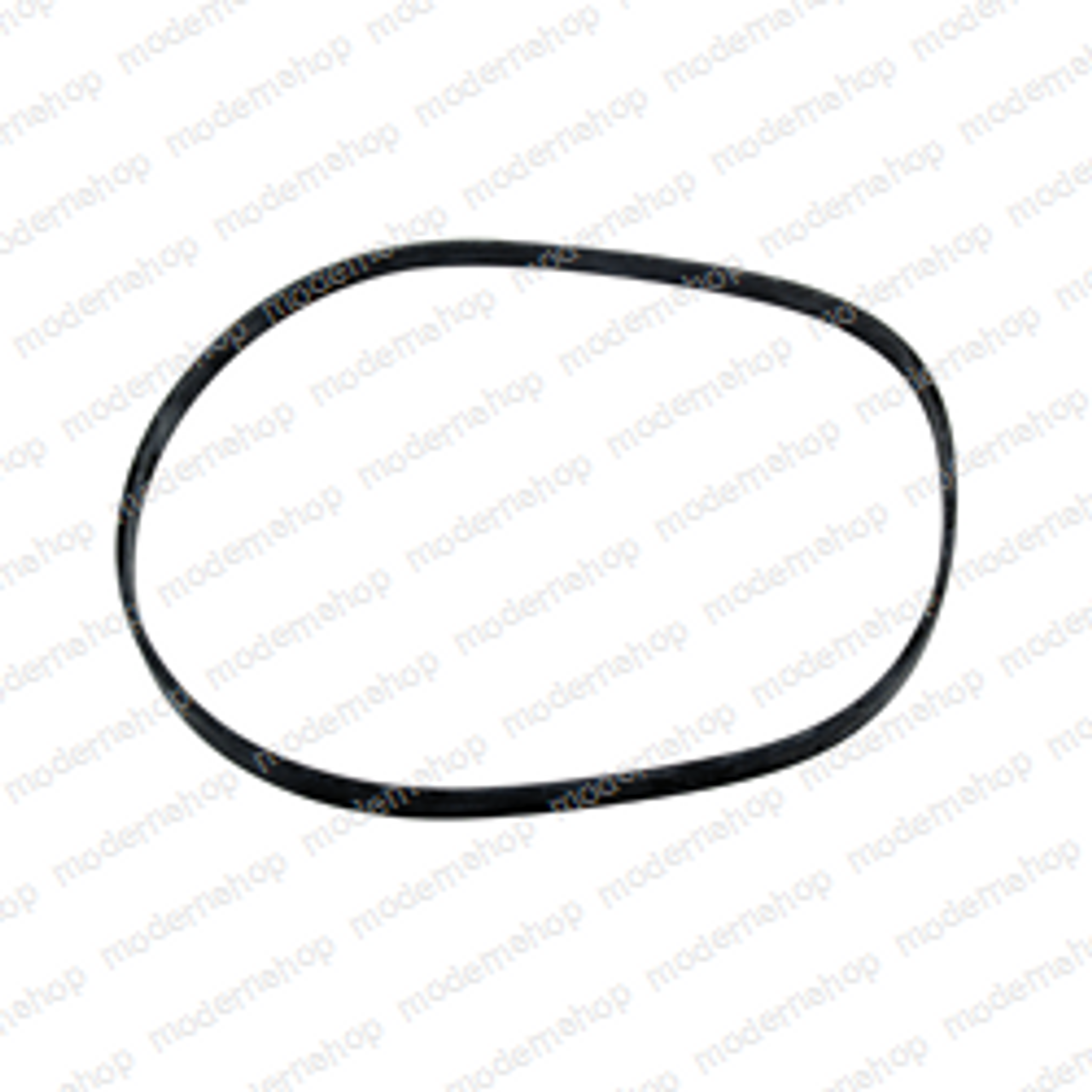 4519-110: Taylor Dunn RING - SEAL