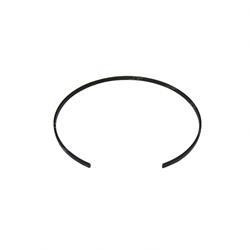 4519-270: Aftermarket Taylor Spring - Expander