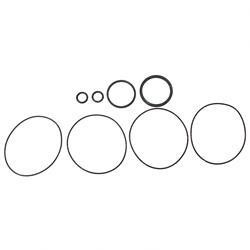 524135308: Aftermarket Yale Seal Kit