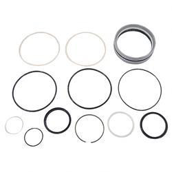 63344: Aftermarket Genie Seal Kit CYL.S80