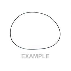 70022203: Aftermarket Gradall O-ring