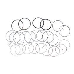 7026512: Aftermarket JLG Kit- Seal