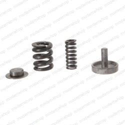 710197: Aftermarket JLG Spring Kit Coil Parking Brake