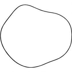 8060116: Aftermarket Snorkel O-ring