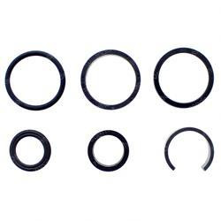 9752100877: Aftermarket Grove / Manlift Seal Kit - Hydraulic Cylinder
