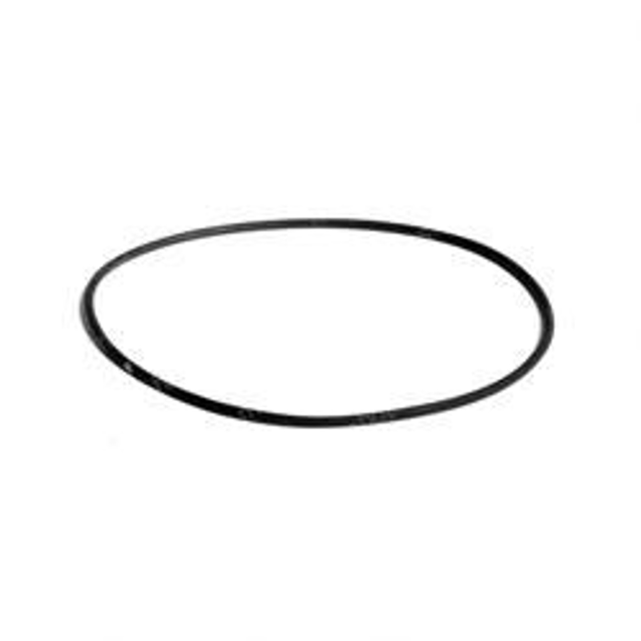 M04523: Aftermarket Hoist O-Ring