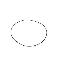 M11171: Aftermarket Hoist O Ring