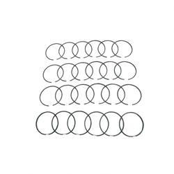 220002409: Aftermarket Yale Ring Set - (.020)