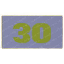 220025131: Aftermarket Yale Decal - 30