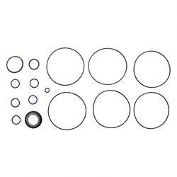 220074539: Aftermarket Yale Seal Kit - Orbitrol