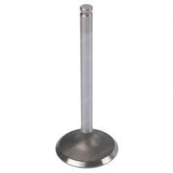 220082459: Aftermarket Yale Valve - Intake