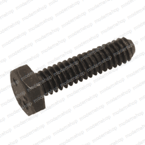 800020973: Aftermarket Totalsource Capscrew - Hex Head