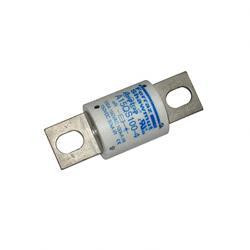 800109735: Aftermarket Totalsource Fuse - 100 Amp