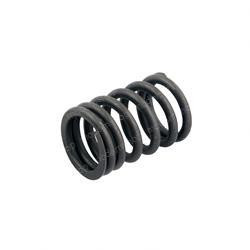 800122406: Aftermarket Totalsource Spring - Valve