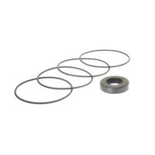 01244202: Aftermarket Terex Seal Kit