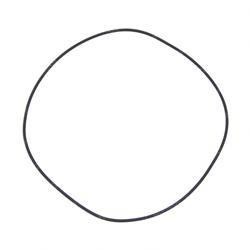 A52132: Aftermarket Case O-Ring 255X4