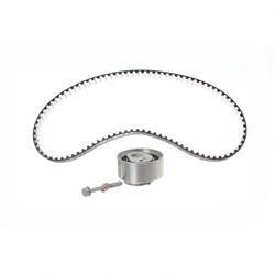 D02931480: Aftermarket Takeuchi Belt Kit - Timing Idler