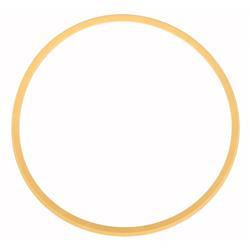 1311811: Aftermarket Hyster Seal - Lip
