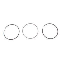 1599593: Aftermarket Hyster Engine - Piston Rings