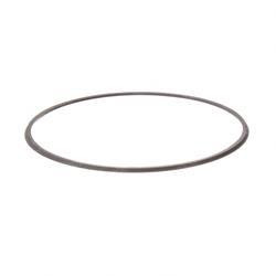 1612498: Aftermarket Hyster Seal - Lip