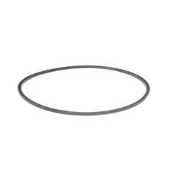 1612517: Aftermarket Hyster Seal - Lip