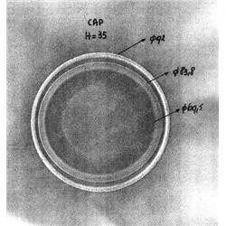 1040316: Aftermarket Caterpillar/Towmotor Cap - Hub