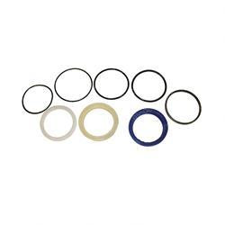 66469: Aftermarket Genie Seal Kit