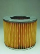 AF25386: Fleetguard Air Filter