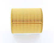 AF26419: Fleetguard Cartridge Air Filter