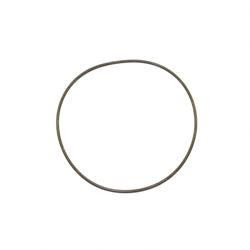 106118: Aftermarket Genie O-ring - Viton