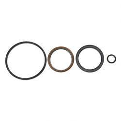 10719432: Aftermarket JLG Seal Kit