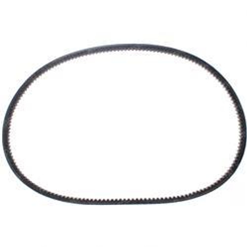 121964: Aftermarket Mustang Belt - V 121964: Aftermarket Mustang Belt - V