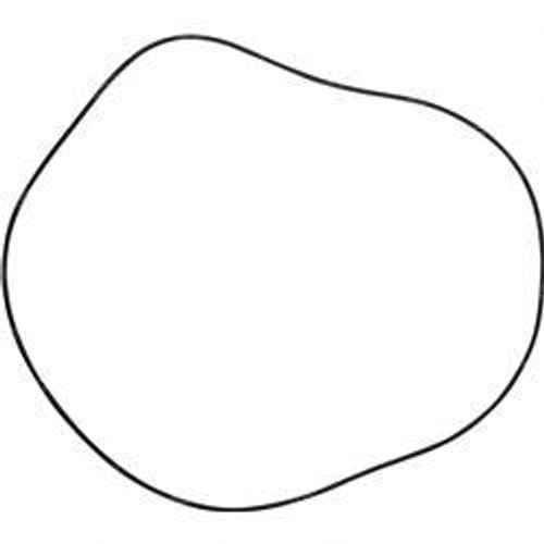 7000224: Aftermarket Gradall O-Ring