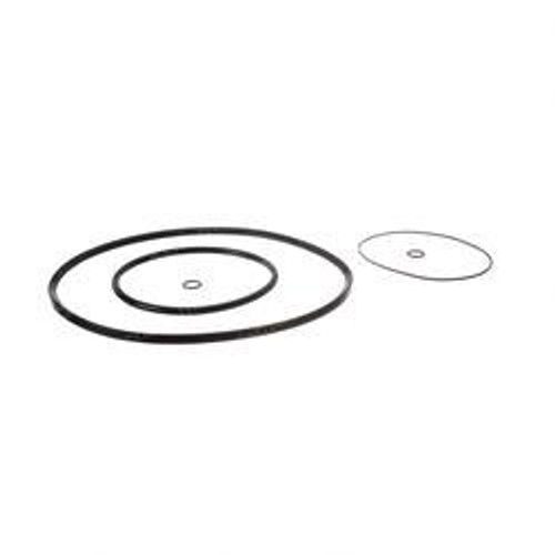 8034819: Aftermarket Gradall Seal Kit O-Ring