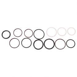 8205656: Aftermarket JLG Seal Kit Cbal V Crtg 30 Gpm