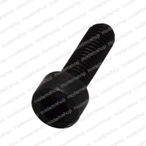 1600377: Hyster Forklift CAPSCREW
