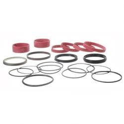 2901558: Aftermarket JLG Seal Kit - Telescope Cylinder