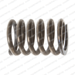 631808: Aftermarket Cascade Spring