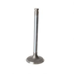 01189: Aftermarket E-Parts Valve - Intake