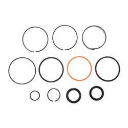 1001092049: Aftermarket JLG Seal Kit